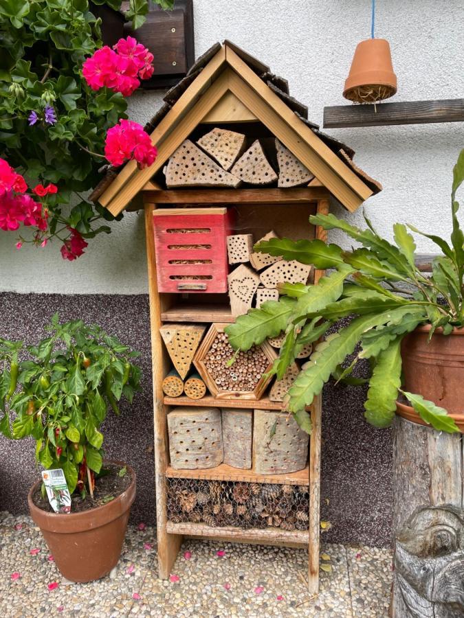 Ferienwohnung Sonnschein บัดมิทแทร์นดอร์ฟ ภายนอก รูปภาพ