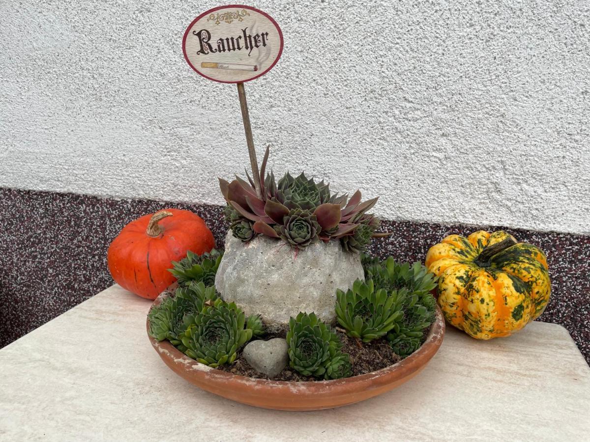 Ferienwohnung Sonnschein บัดมิทแทร์นดอร์ฟ ภายนอก รูปภาพ