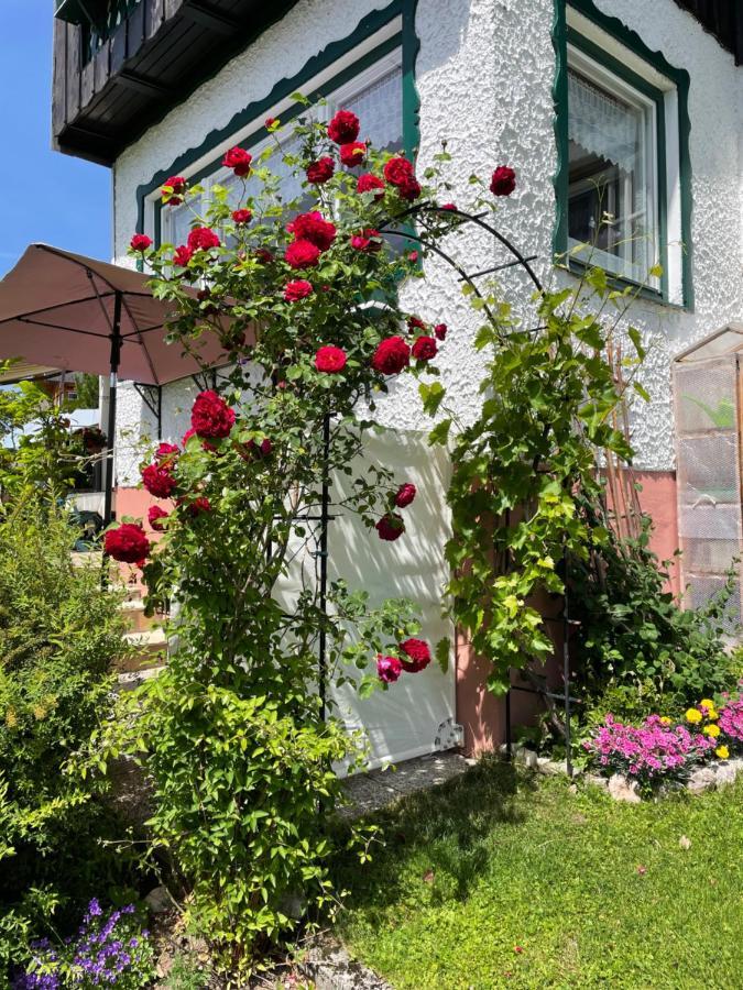 Ferienwohnung Sonnschein บัดมิทแทร์นดอร์ฟ ภายนอก รูปภาพ